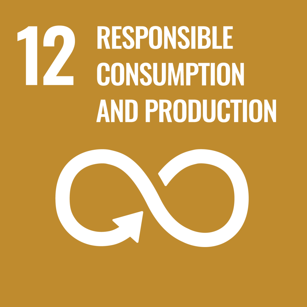 S D G 12: Responsible Consumption and Production